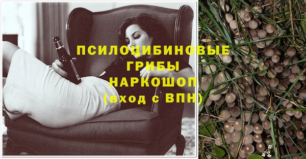 spice Алексин