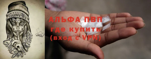 прущие грибы Абаза