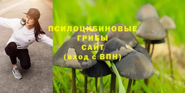 spice Алексин