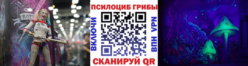 купить наркоту  Энгельс  Галлюциногенные грибы MAGIC MUSHROOMS 