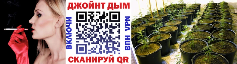 Каннабис семена  мега   Энгельс  закладки 